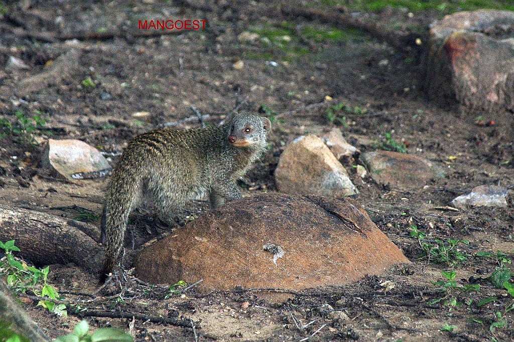 Namibie081.JPG