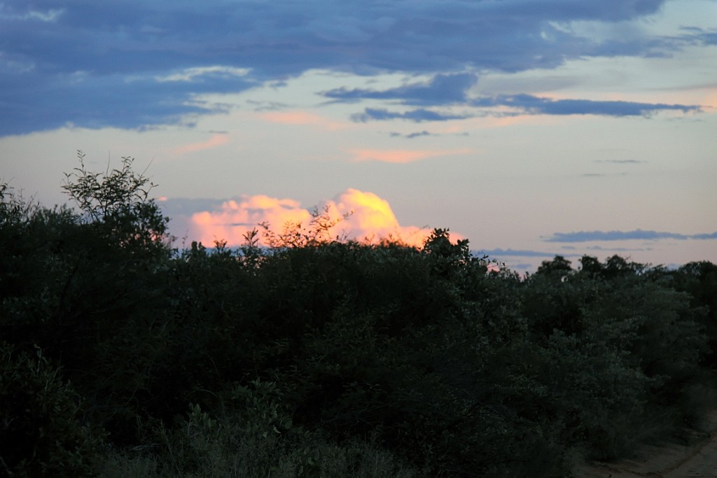 Namibie095.jpg