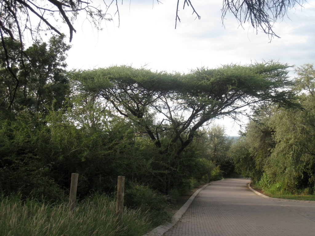 Namibie104.jpg