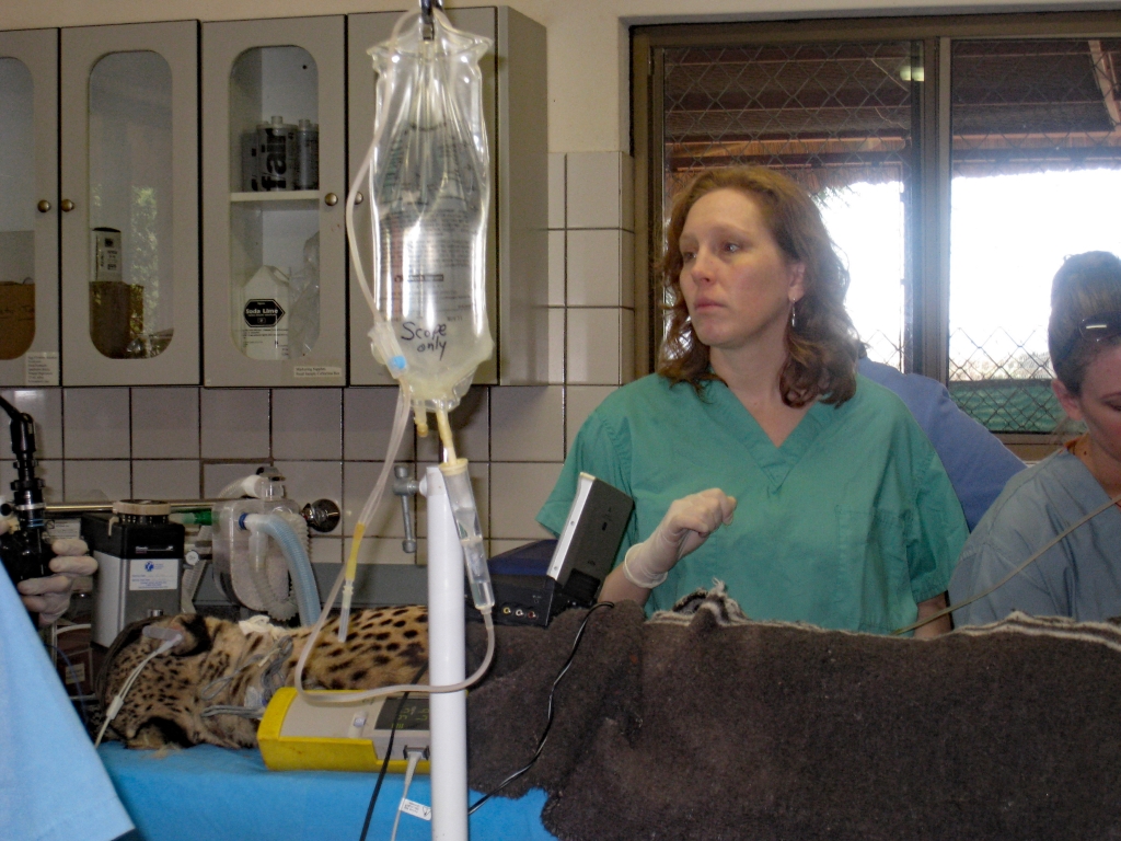 Namibie124.jpg