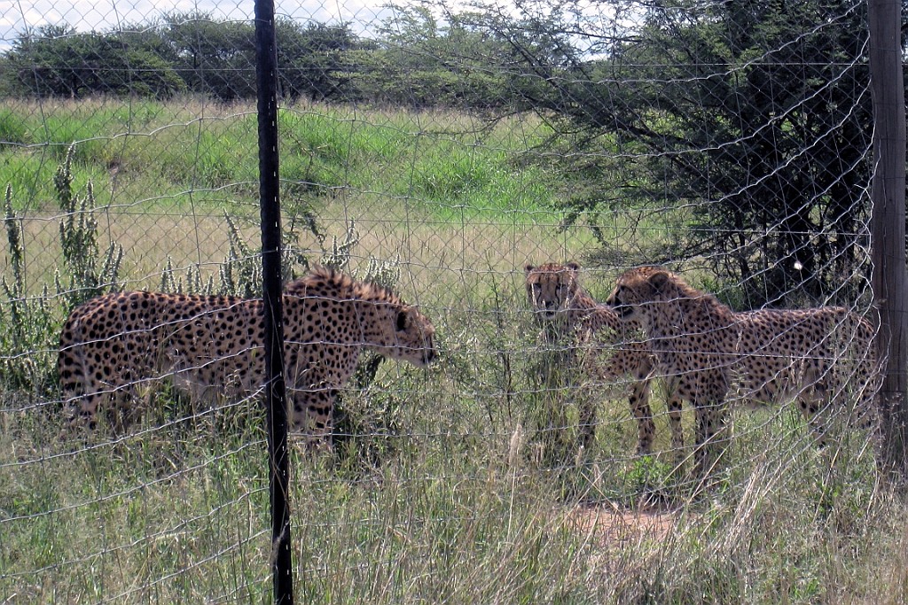 Namibie129.jpg