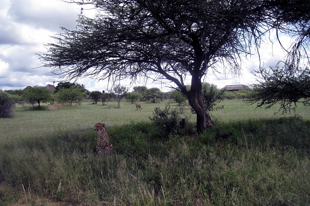 Namibie133.jpg