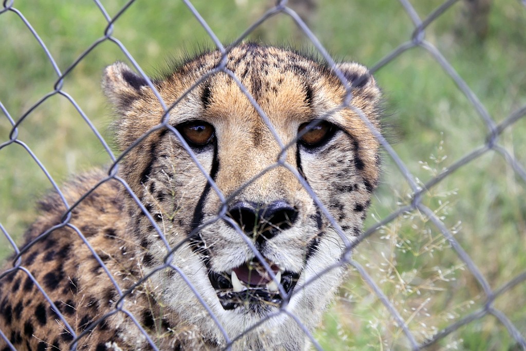 Namibie134.jpg