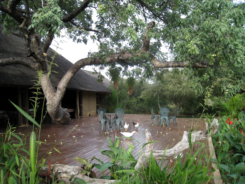 Namibie153.jpg