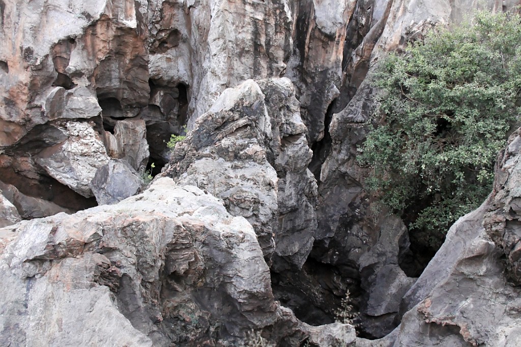 Namibie179.jpg