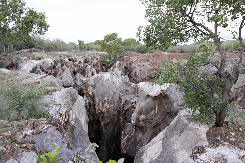 Namibie181.jpg