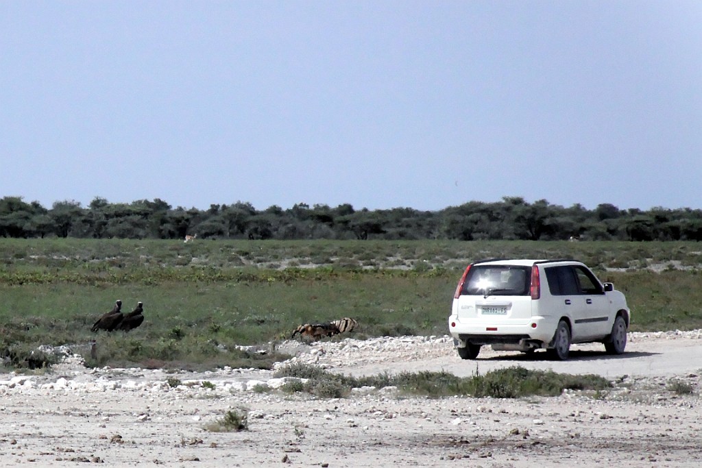 Namibie196.jpg