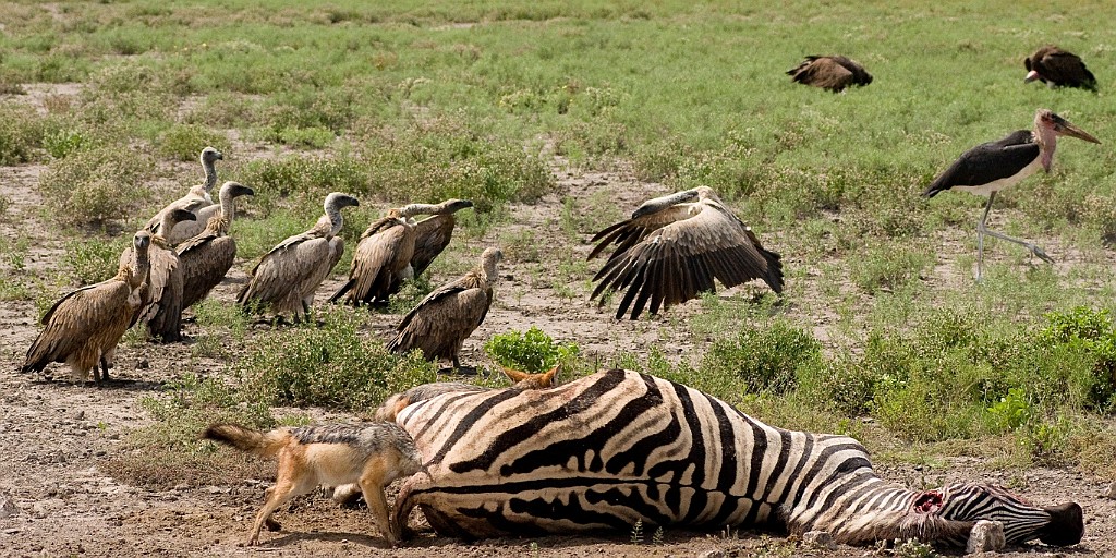 Namibie200.jpg