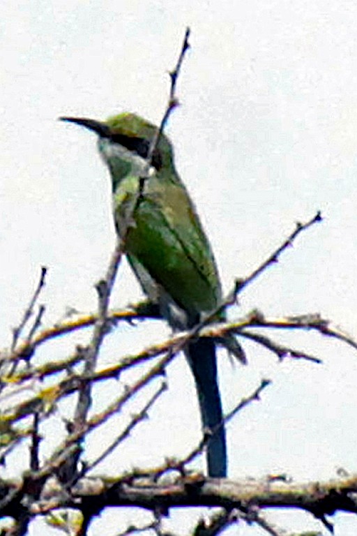 Namibie220.jpg