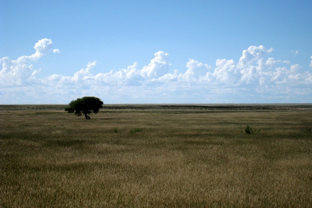 Namibie230.jpg
