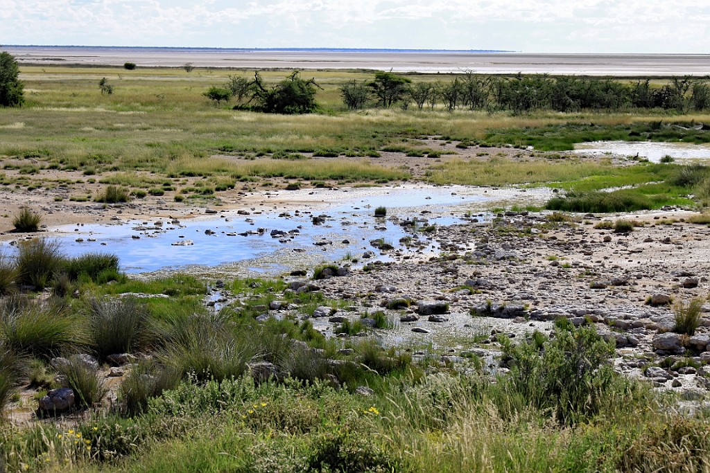 Namibie236.jpg