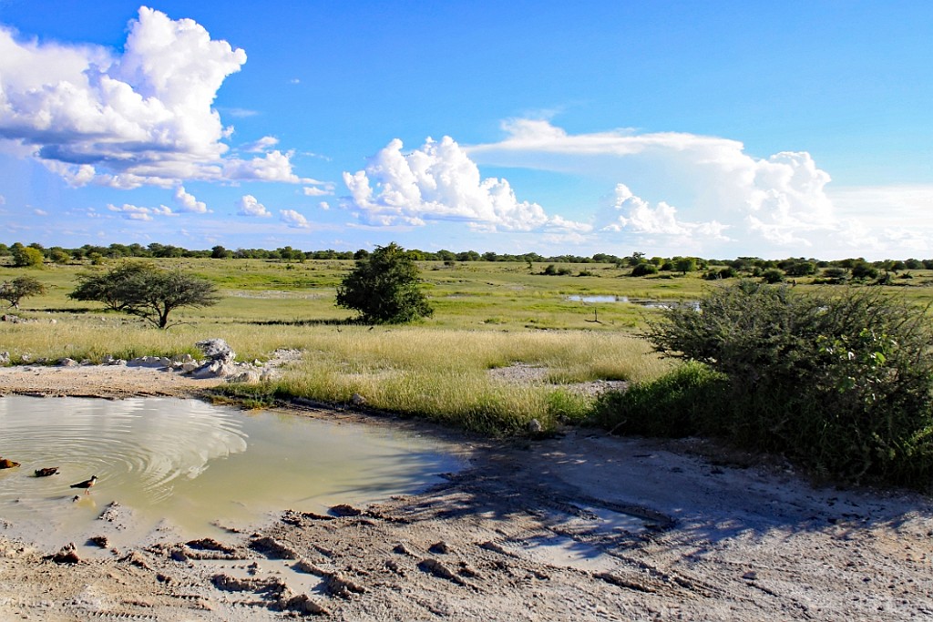 Namibie241.jpg