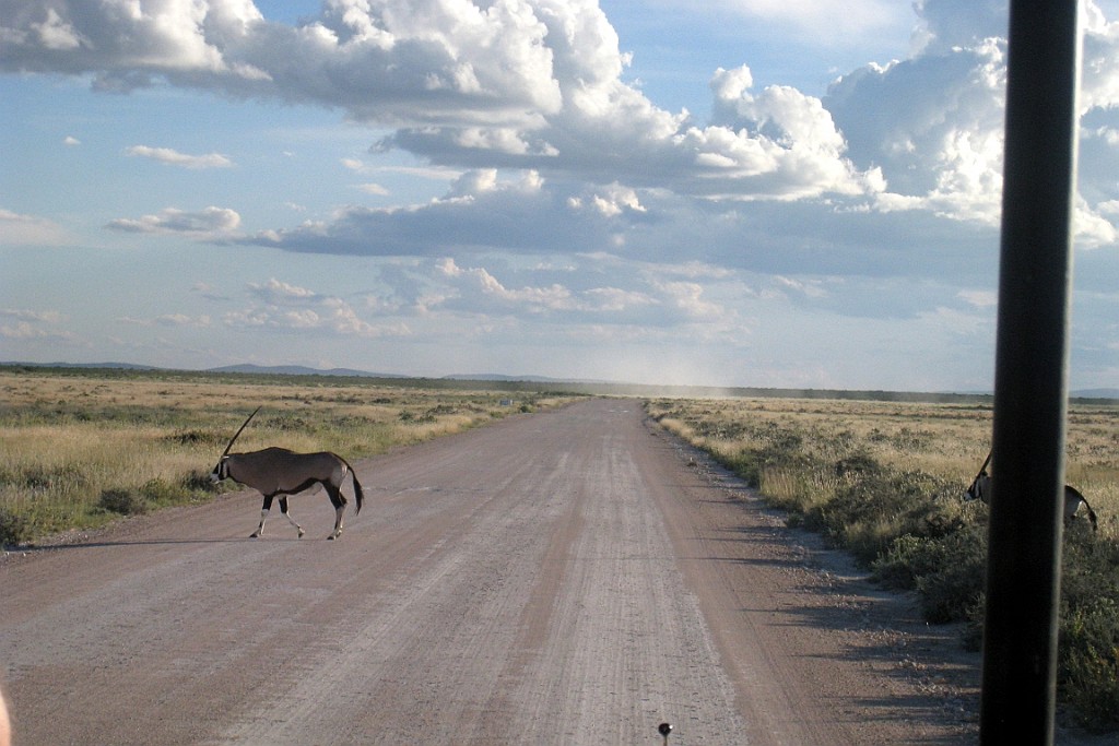 Namibie245.jpg