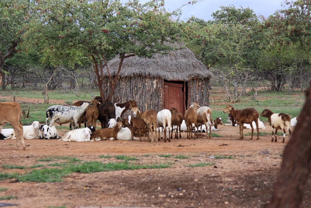 Namibie266.jpg