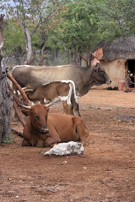 Namibie268.jpg