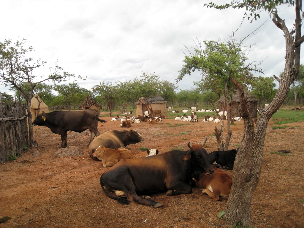 Namibie287.jpg
