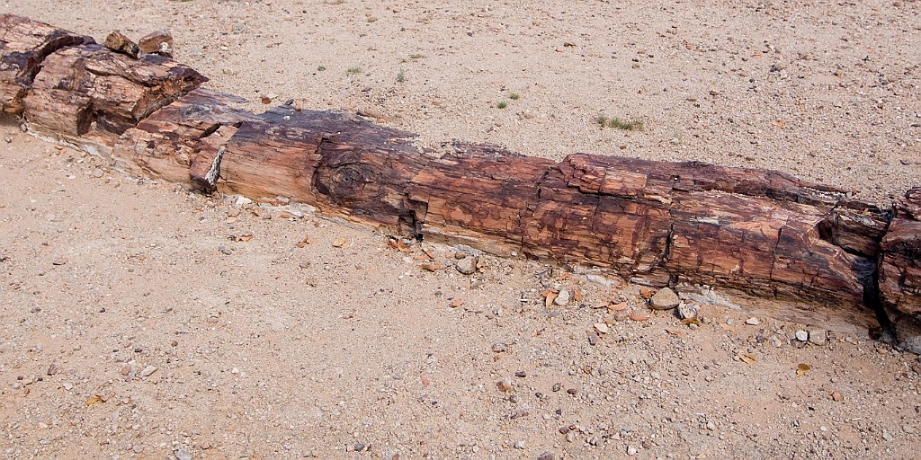 Namibie324.jpg