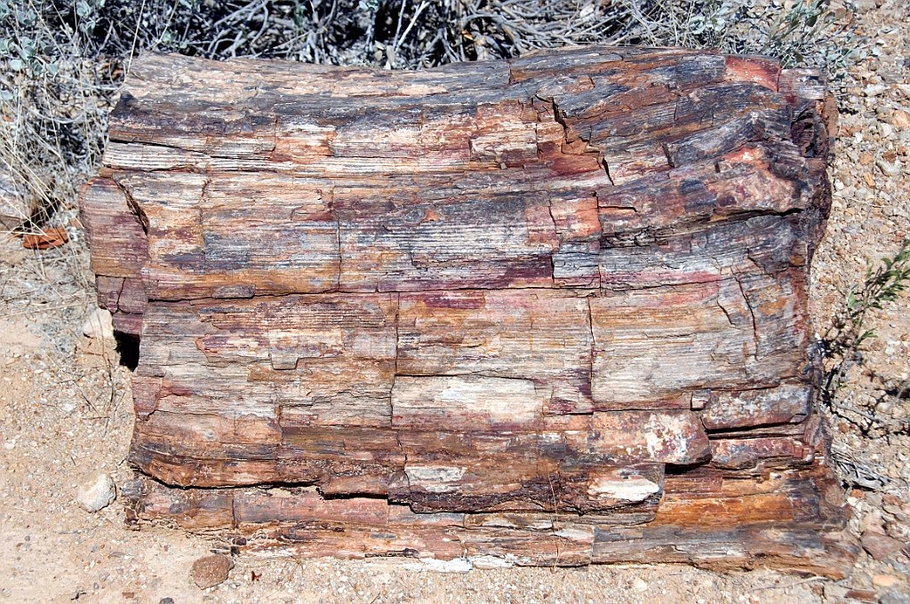 Namibie326.jpg