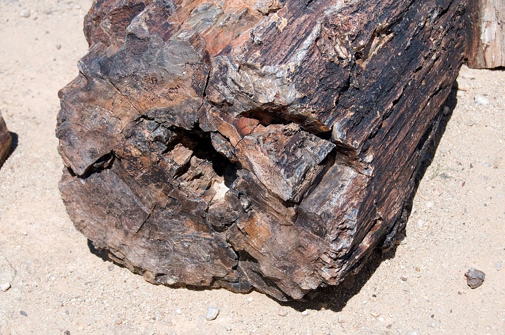 Namibie330.jpg