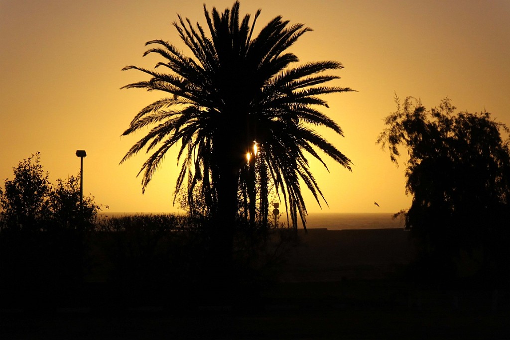 Namibie395.jpg