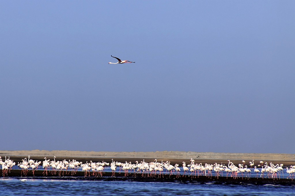 Namibie426.jpg