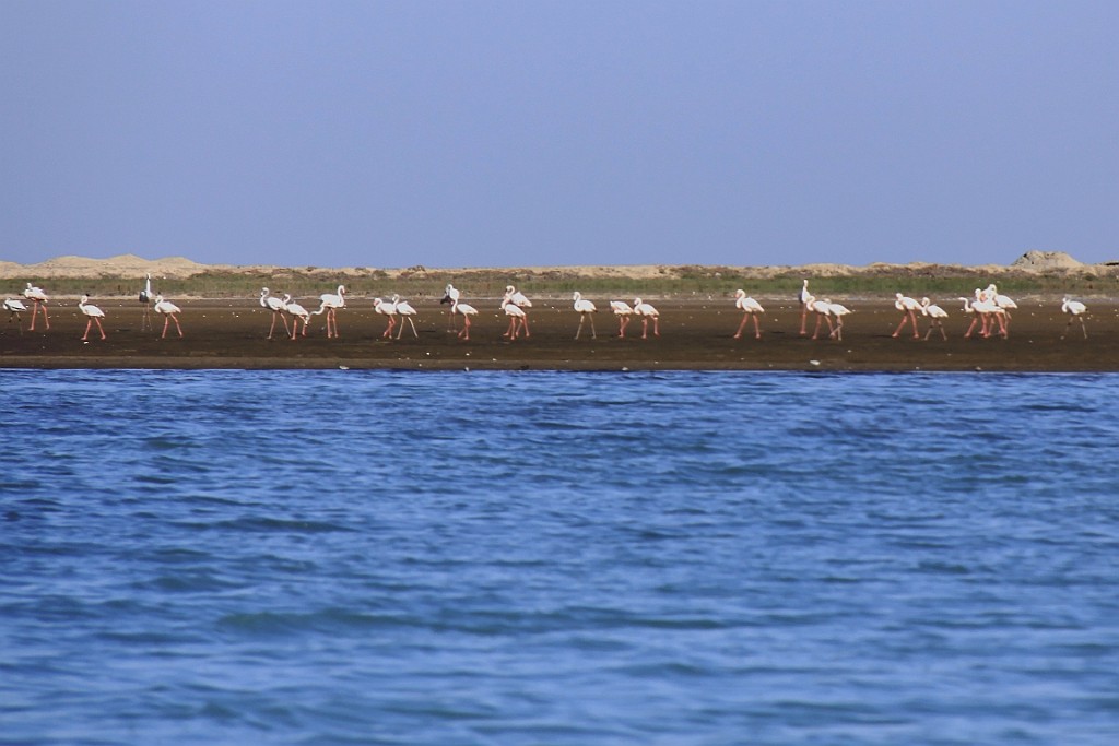 Namibie427.jpg