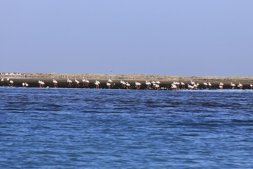 Namibie428.jpg