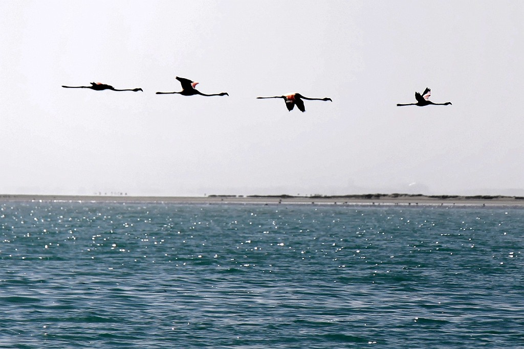 Namibie429.jpg