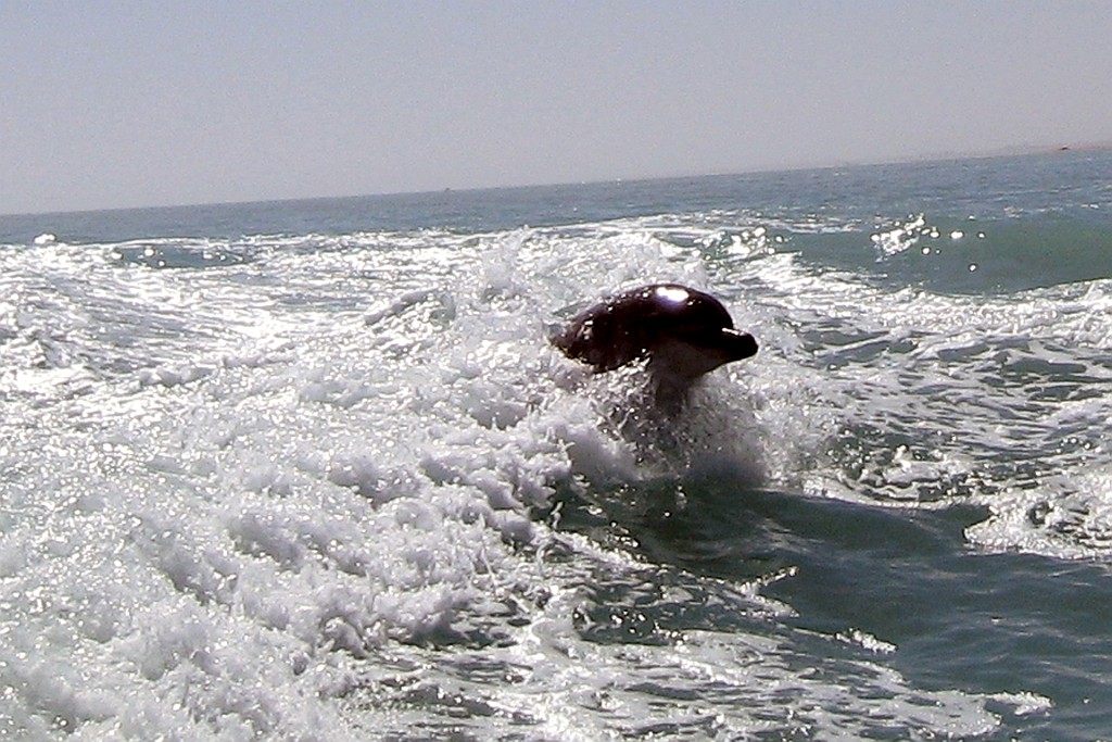 Namibie439.jpg