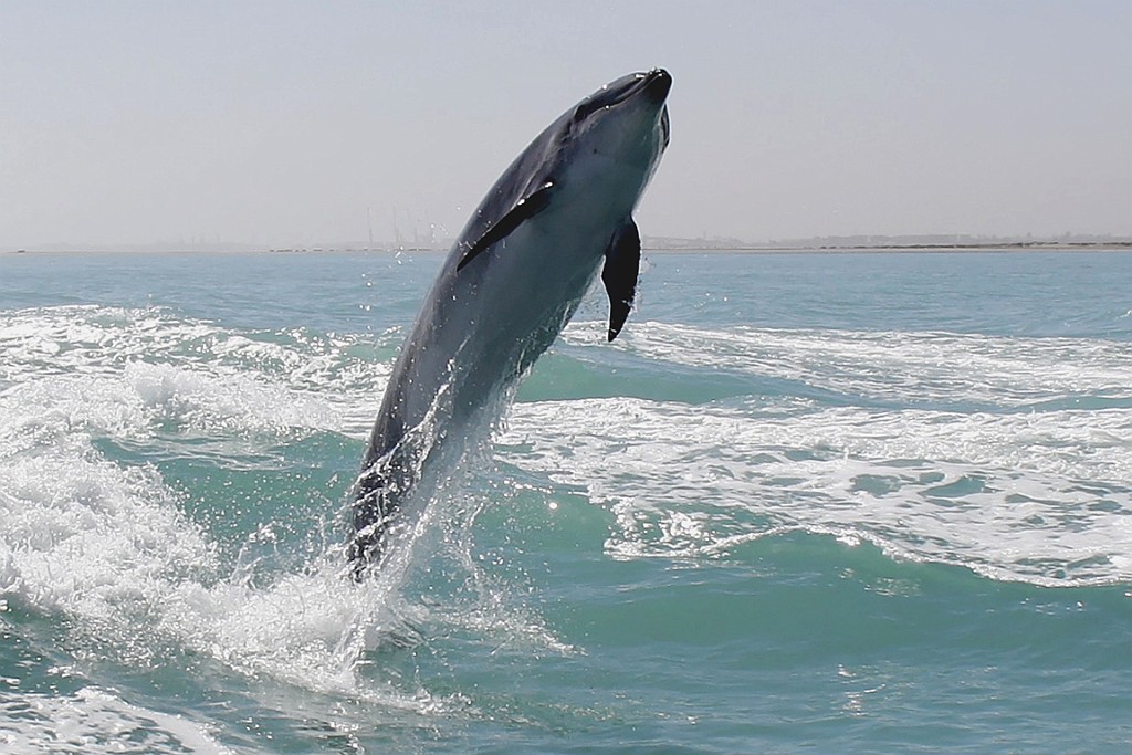 Namibie447.jpg