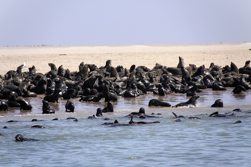 Namibie472.jpg