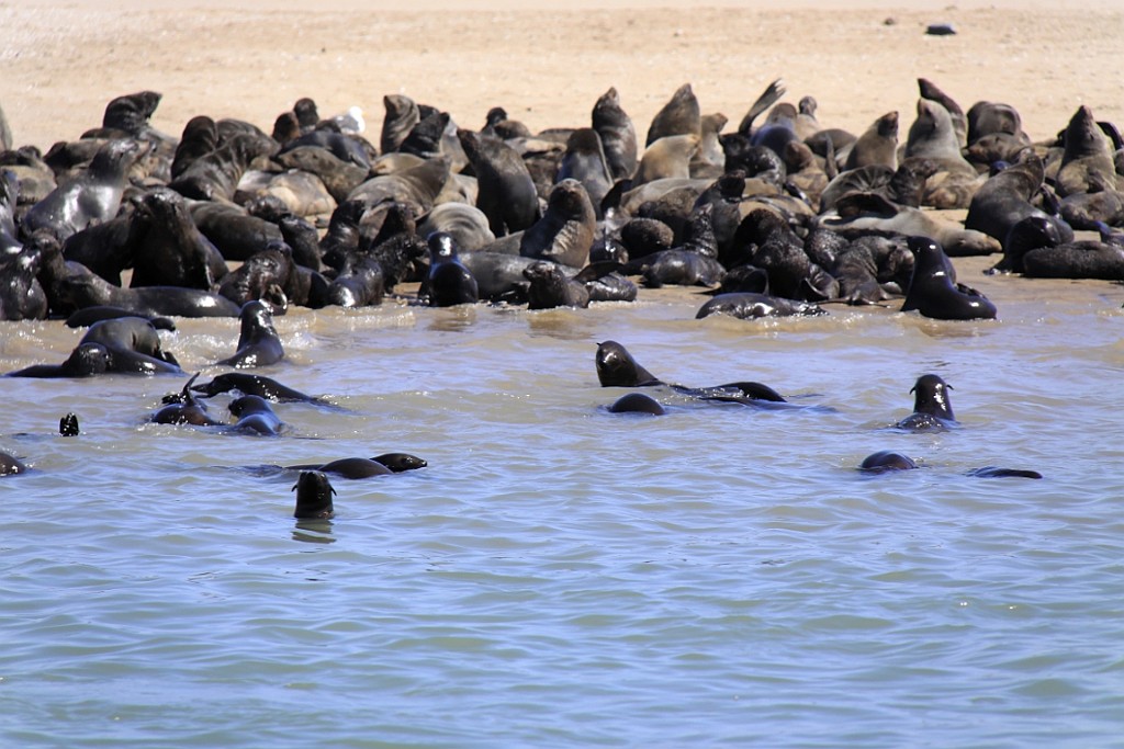 Namibie473.jpg