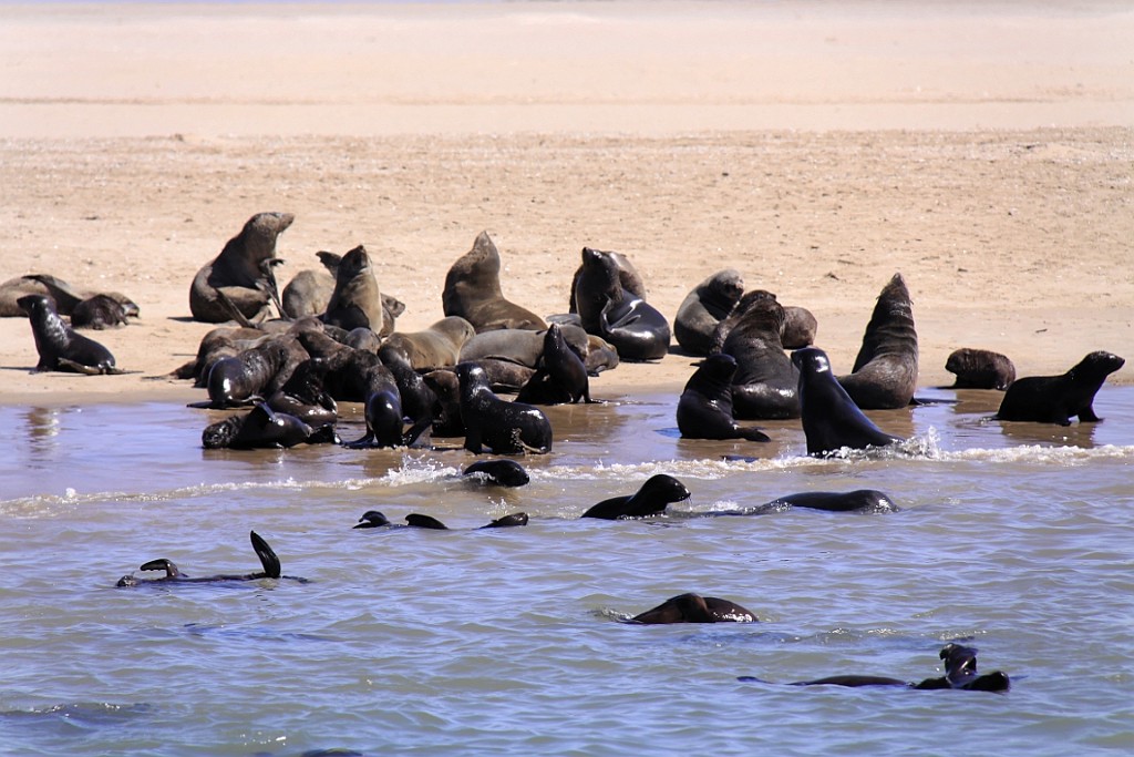 Namibie476.jpg