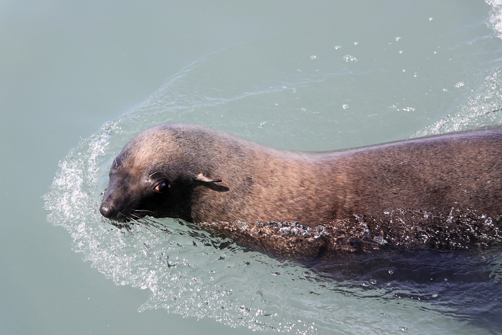 Namibie481.jpg