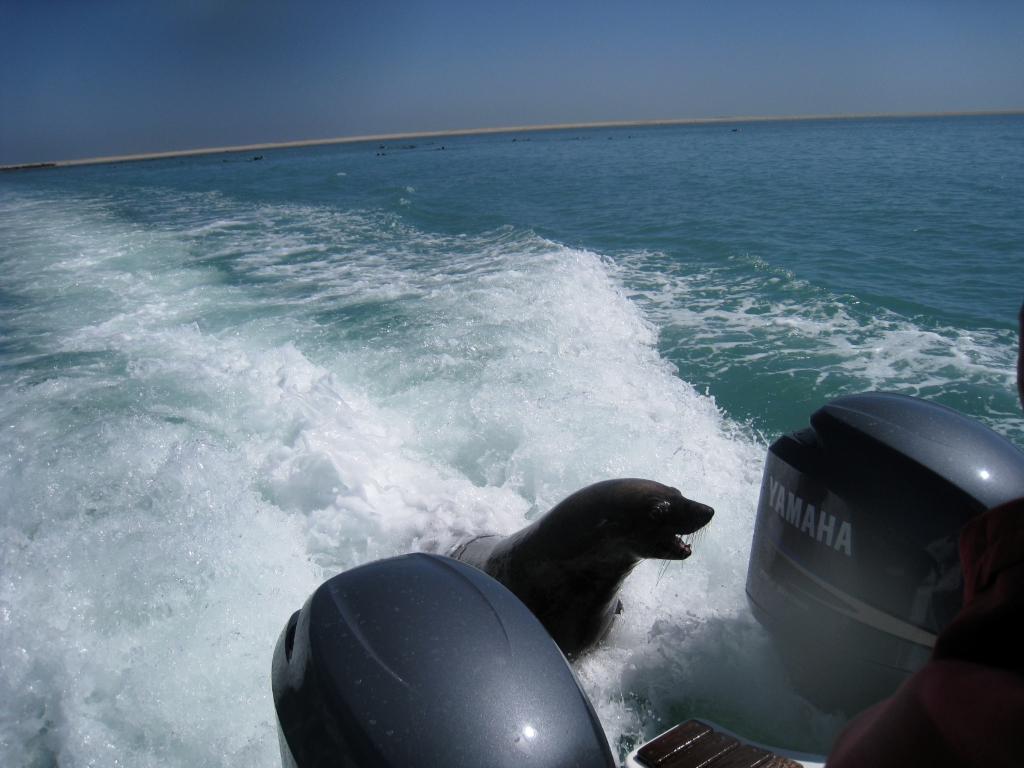 Namibie488.jpg