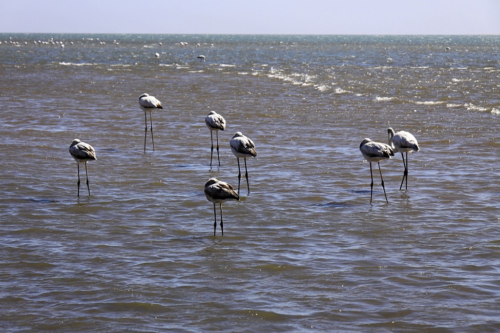Namibie516.jpg