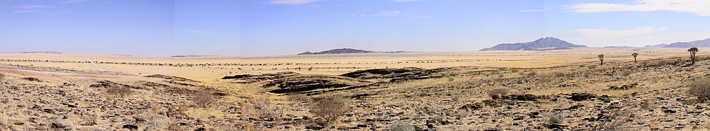 Namibie531.jpg