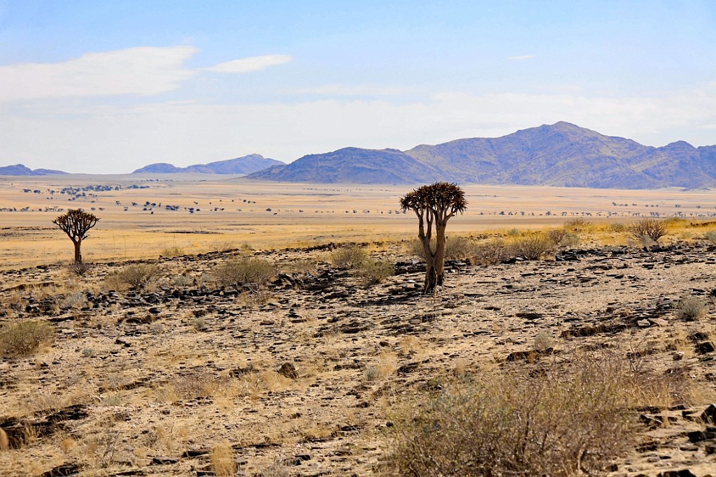 Namibie532.jpg
