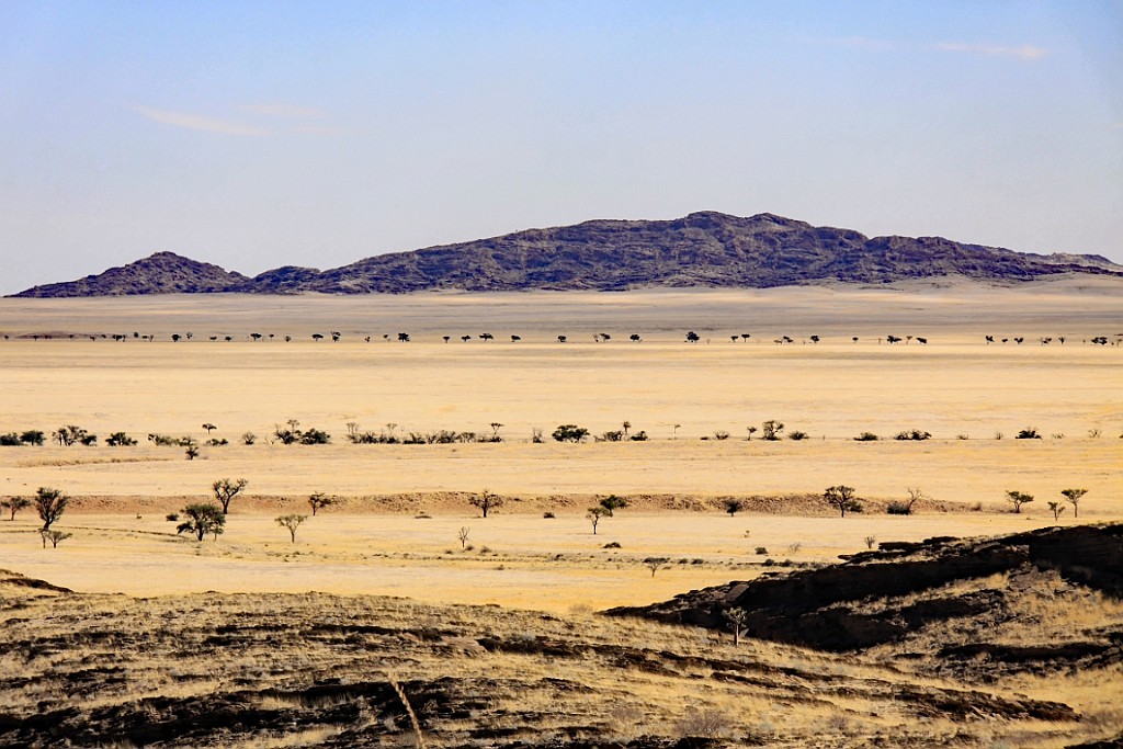 Namibie533.jpg