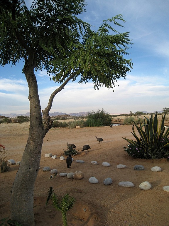 Namibie571.jpg