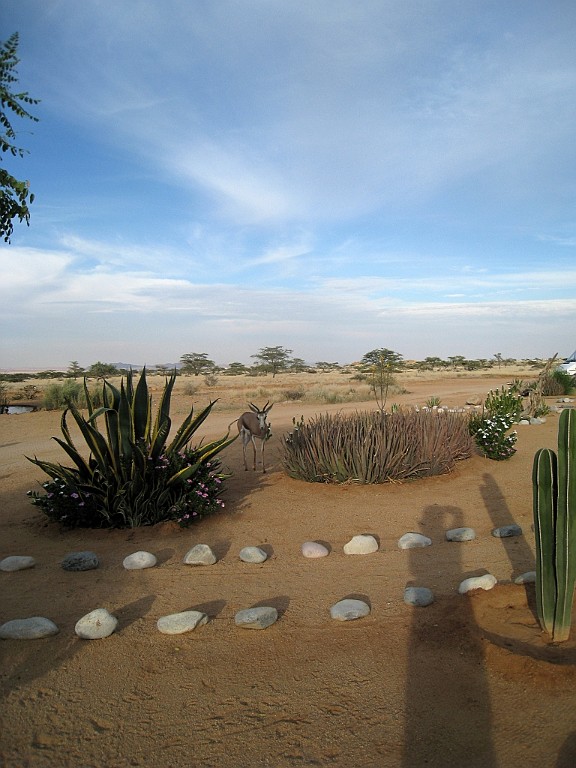 Namibie572.jpg