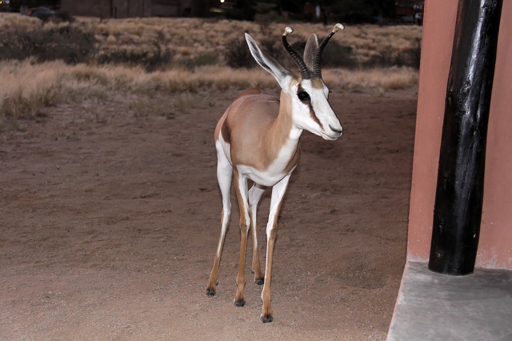 Namibie576.jpg