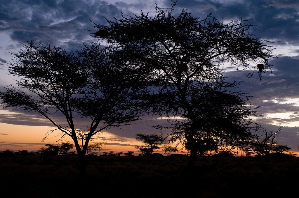 Namibie578.jpg