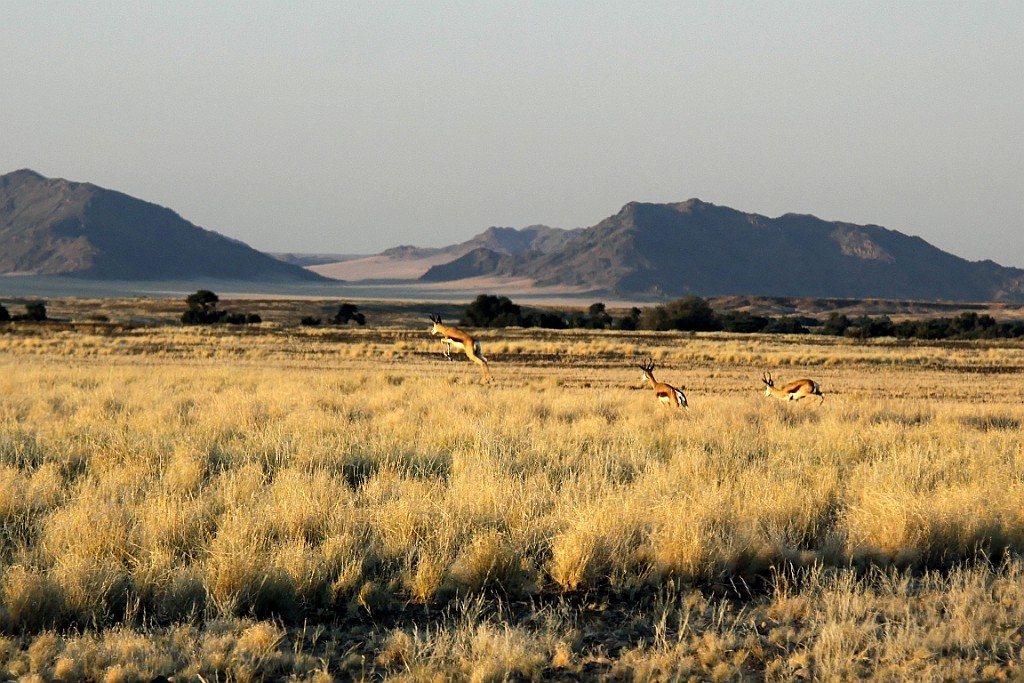 Namibie592.jpg