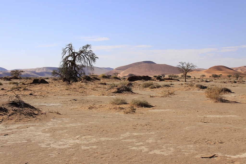 Namibie633.jpg