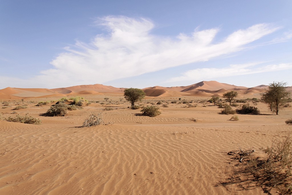 Namibie637.jpg