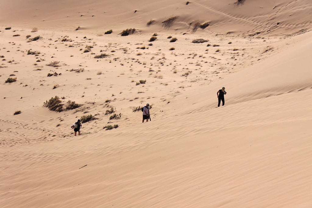Namibie643.jpg