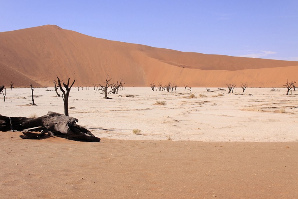 Namibie650.jpg
