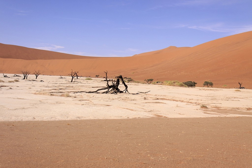 Namibie651.jpg