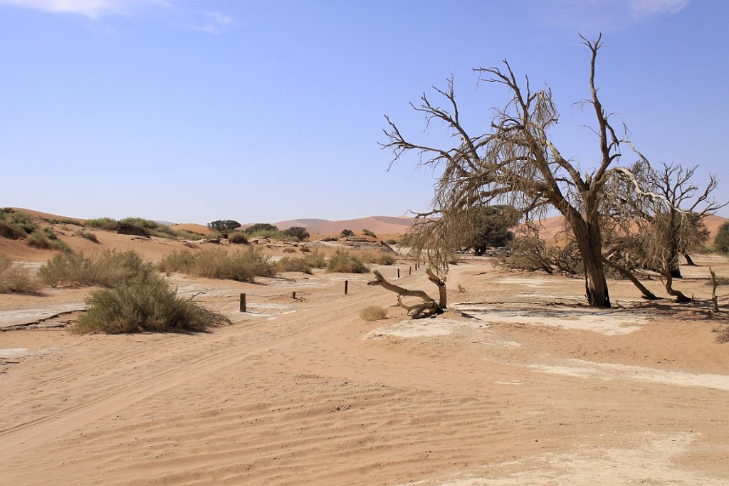 Namibie661.jpg